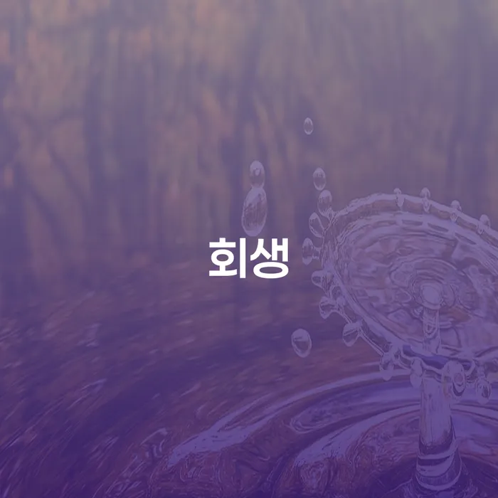 개인회생소득 개인회생,개인파산으로 알고신청하기