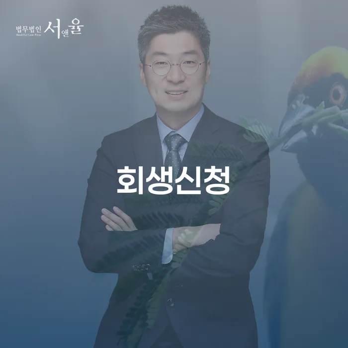 개인회생변호사 개인회생으로 해결방법 어떤걸
