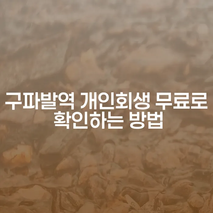 구파발역 개인회생 무료로 확인하는 방법