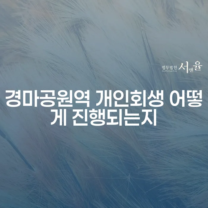 경마공원역 개인회생 어떻게 진행되는지