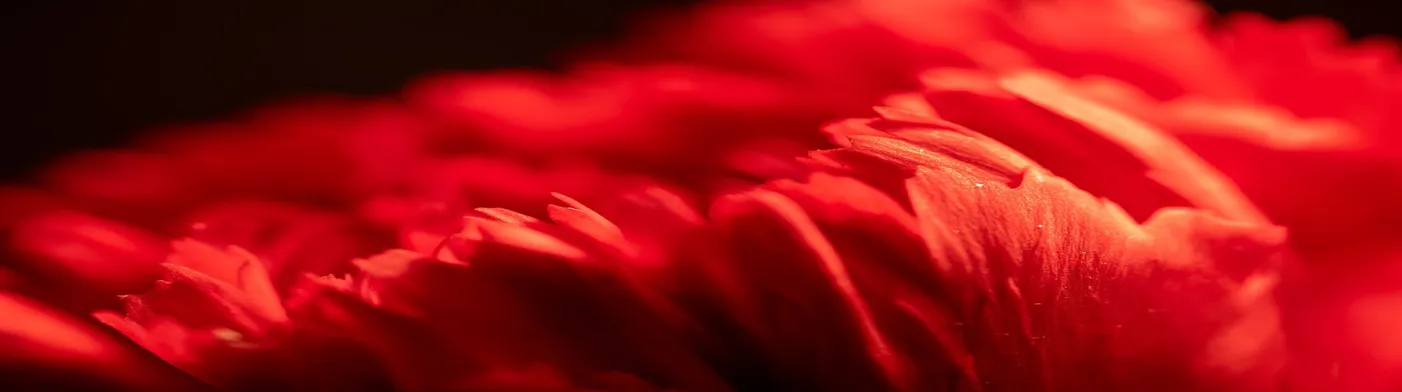 법무법인 서앤율