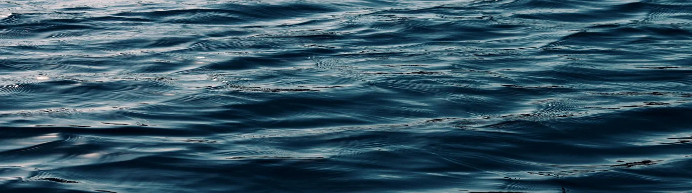 법무법인 서앤율