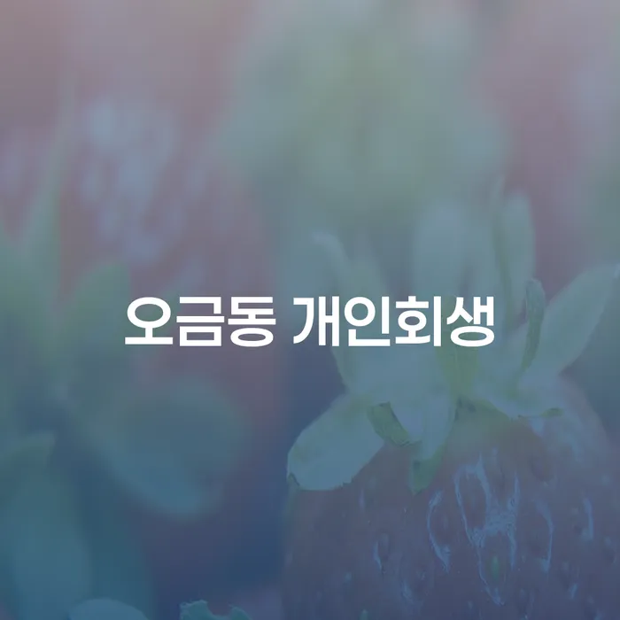 오금동 개인회생, 채무 해결의 길을 찾아볼까요?