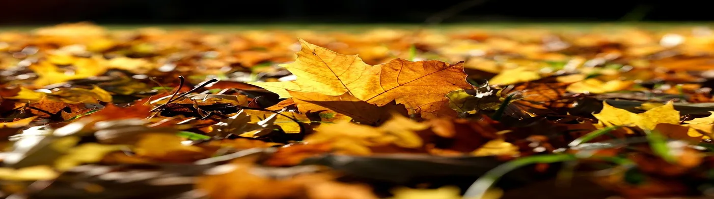 법무법인 서앤율