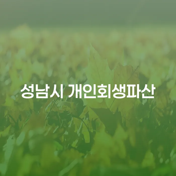 성남시에서 개인회생과 파산을 고려해야 할 때, 어떤 선택이 적합할까요?